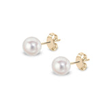 9ct Gold Akoya Pearl Stud Earrings