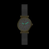 Fossil Carlie Mini Quartz Two Tone Steel Mother of Pearl Dial 28mm Ladies Watch ES5463