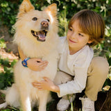 Swatch Flik Flak Skating Frenchie Quartz 34.75mm Watch FPSP075