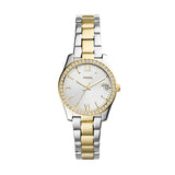 Fossil Scarlette Mini Quartz Two Tone Steel 32mm Ladies Watch ES4319