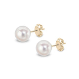 9ct Gold Akoya Pearl Stud Earrings