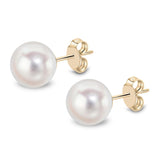 9ct Gold Akoya Pearl Stud Earrings