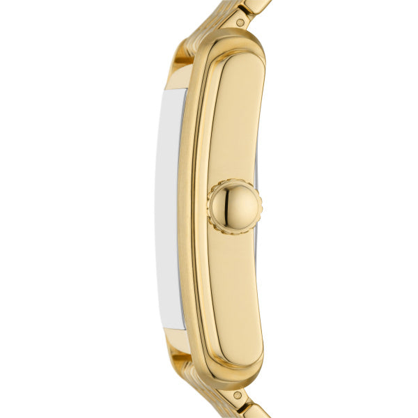 Fossil Carraway Quartz Gold Steel Gold Dial 30mm Watch FS6009