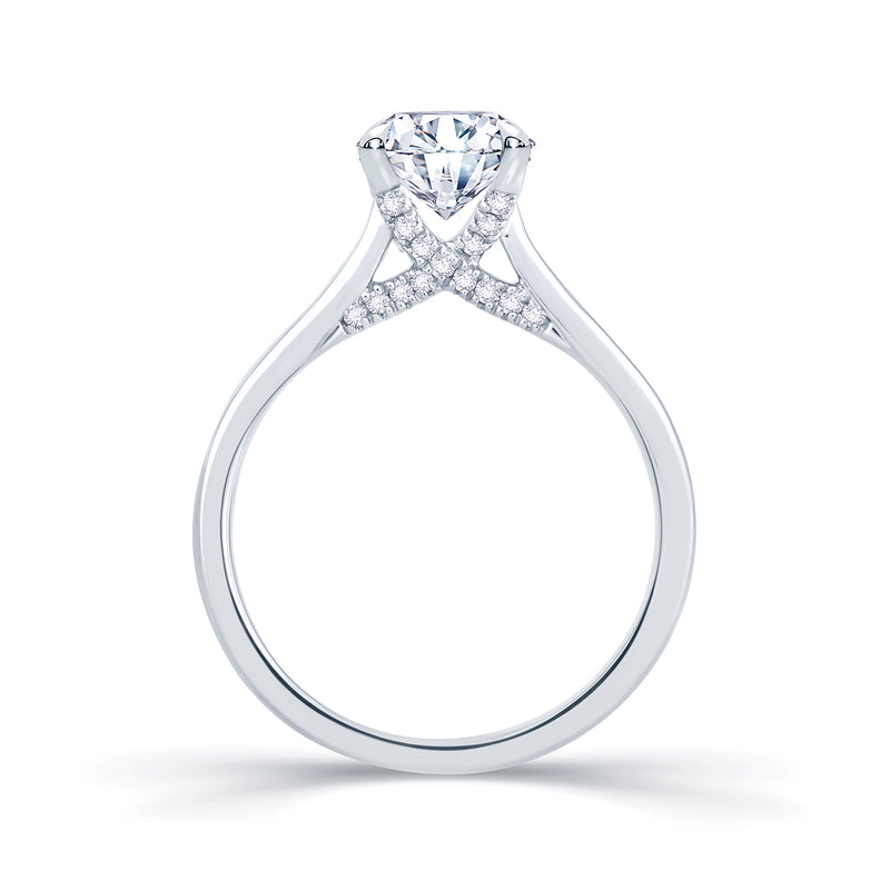 0.50ct Diamond Solitaire with 0.10ct Hidden Infinity Platinum Ring