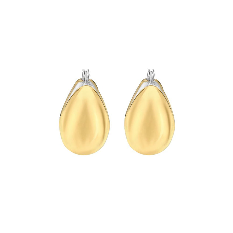 9ct Gold Two-Tone Hinged Earrings