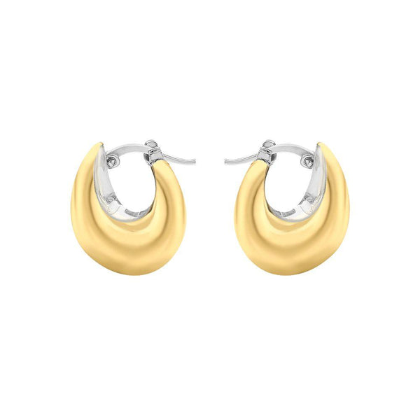 9ct Gold Two-Tone Hinged Earrings